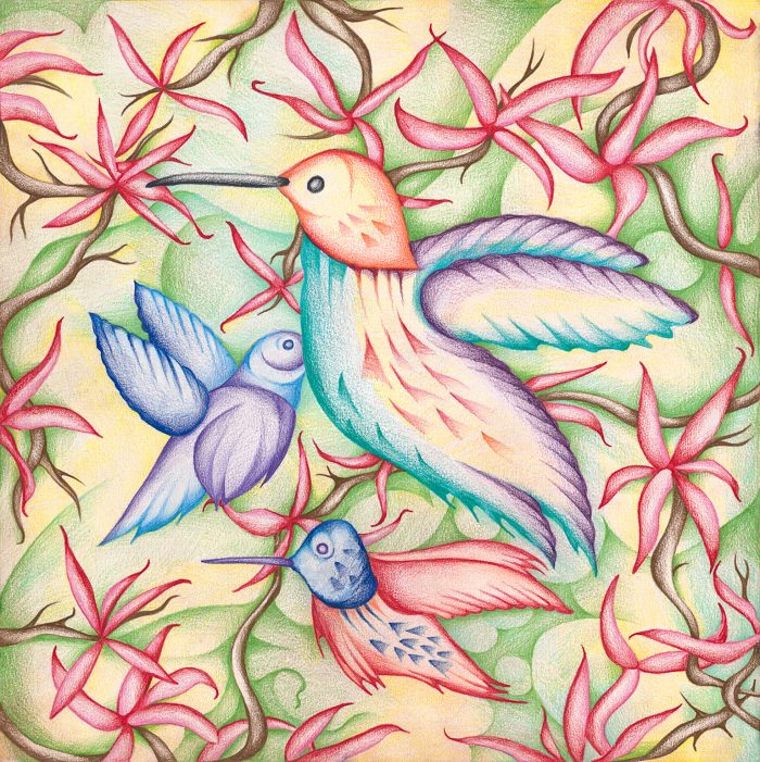 hummingbirds 1