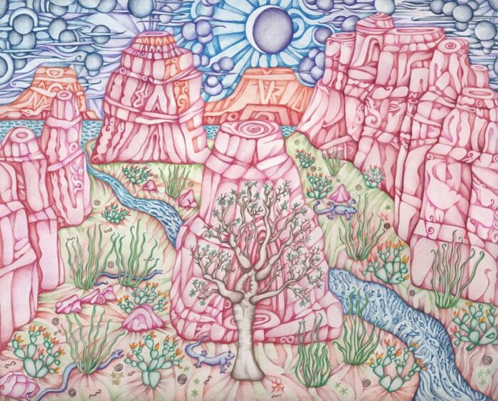 Desert Spring